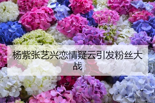 杨紫张艺兴恋情疑云引发粉丝大战
