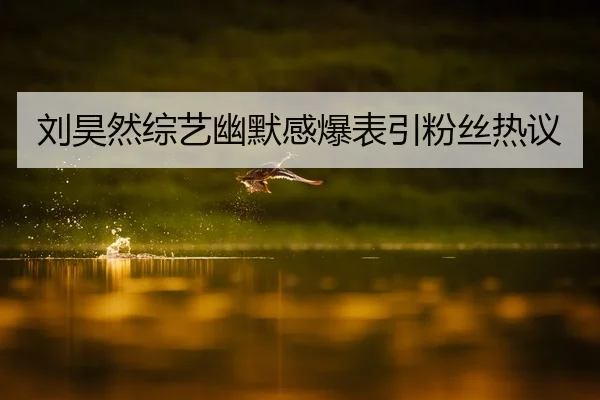 刘昊然综艺幽默感爆表引粉丝热议
